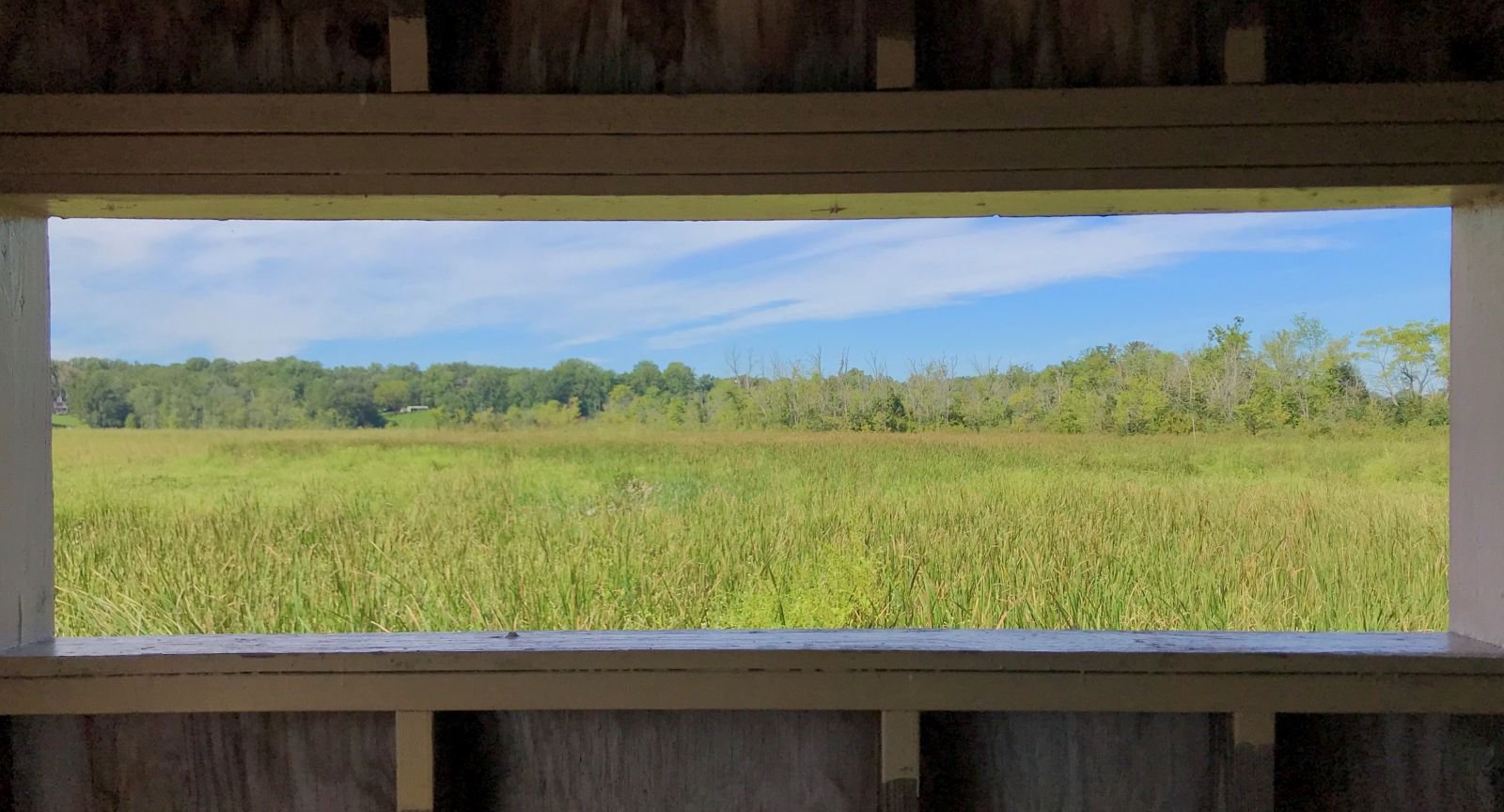 Jug Bay Wetlands through the window of an observation blind