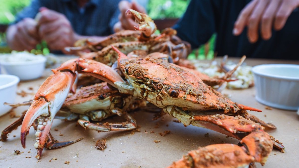 A steamed blue crab encrusted in Old Bay seasoning sits on an outdoor table, with diners visible in the background.