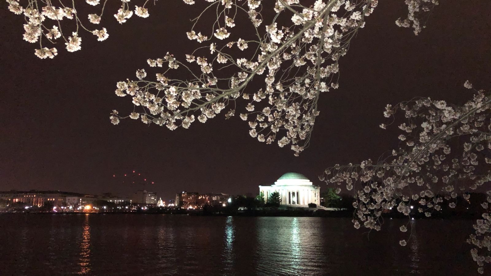 Nighttime photo of the Washington, DC Tidal Basin and Jefferson Memorial framed by blossoming cherry tree branches