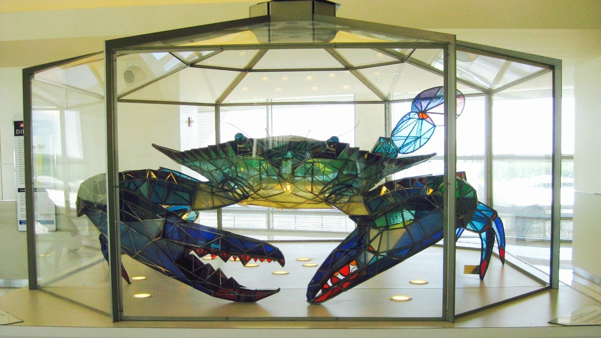 An enormous stained glass sculpture of a Blue crab sits on display in BWI Airport.
