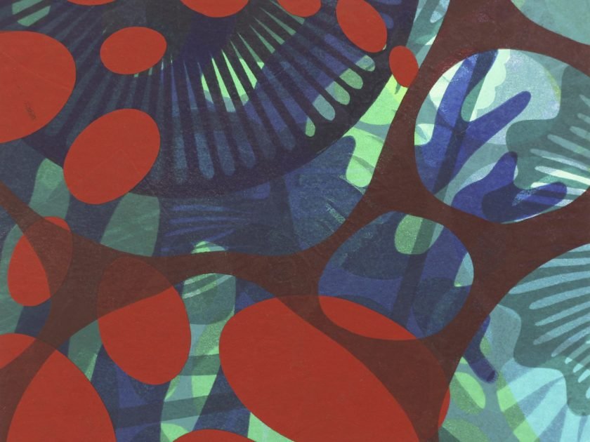 Rounded blobs and organic lattice shapes in flat tones of red, brown, watery blues and pale green overlay each other, giving a sense of movement and depth.