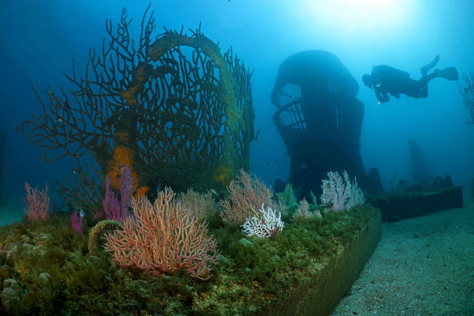 EDP Art Reef